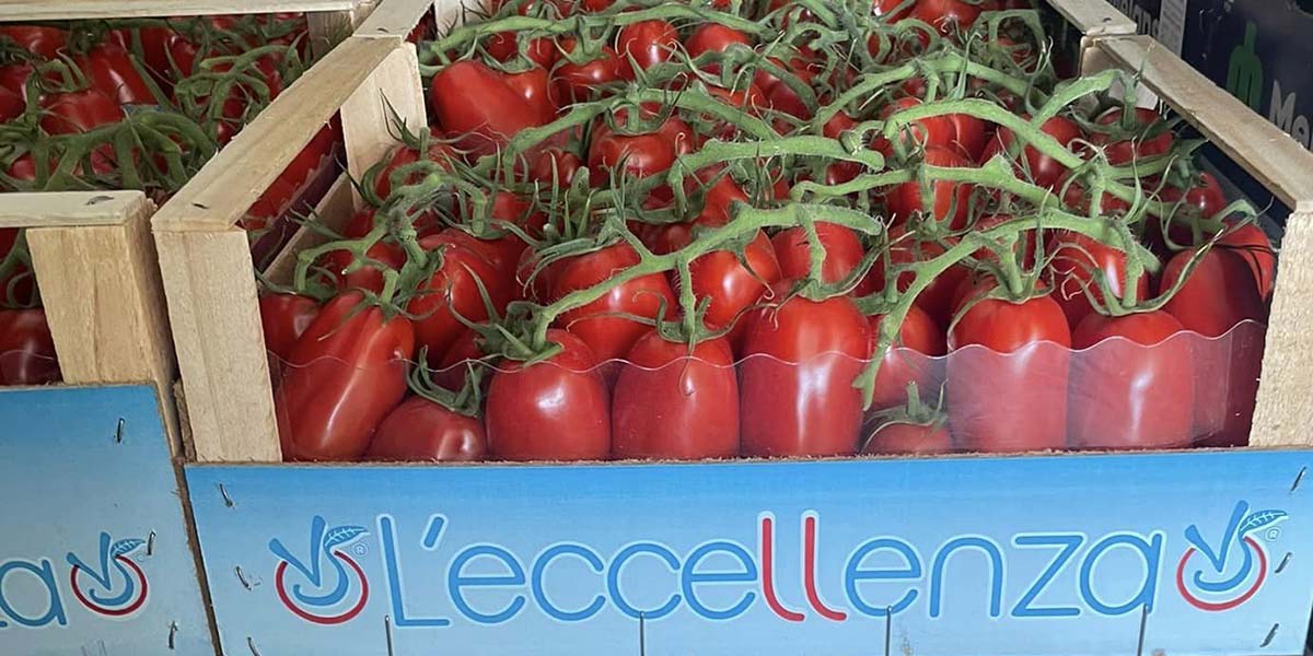 Ingrosso, quotazioni in rialzo per le bacche rosse